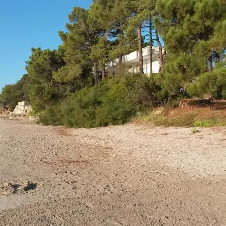 Sur La Plage De Pinarello