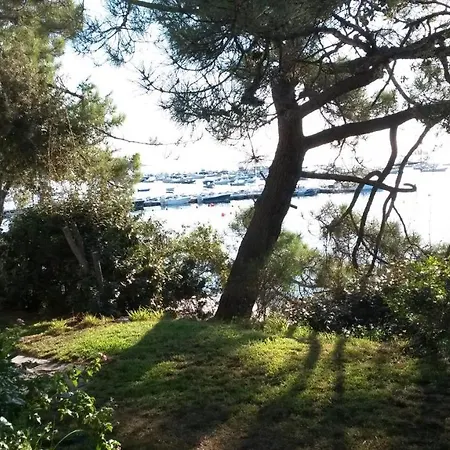 Sur La Plage De Pinarello *
